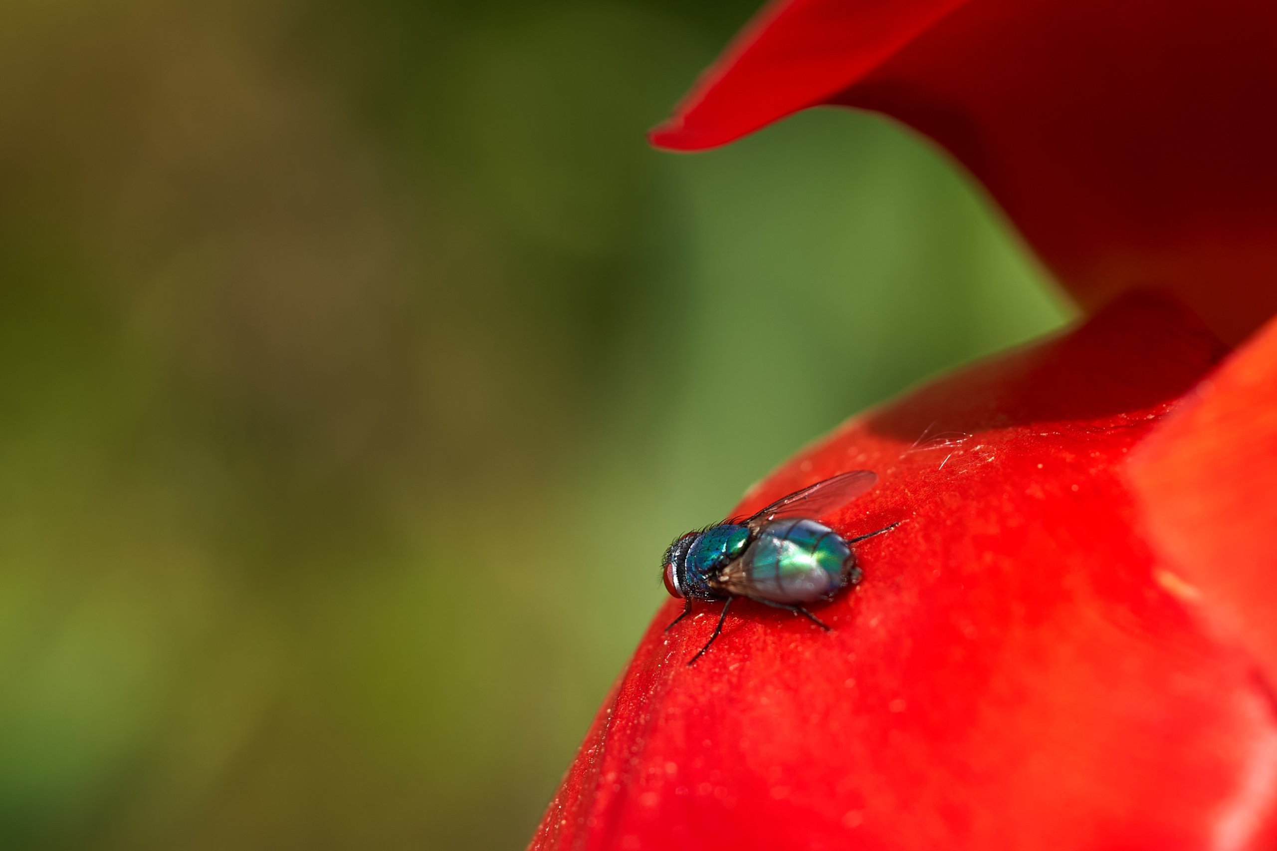 2022 05 08 Gruga 0017